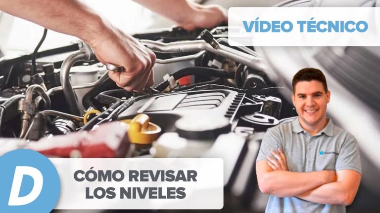Importancia de la Revisión de Líquidos en la Transmisión del Coche