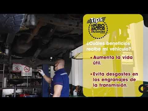 Gu&iacute;a Esencial para el Mantenimiento de Transmisi&oacute;n de Veh&iacute;culos
