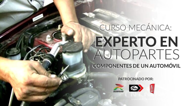 Gu&iacute;a del Mec&aacute;nico Experto en Reparaci&oacute;n de Piezas de Autom&oacute;viles