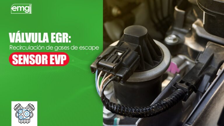 La importancia del mantenimiento de la v&aacute;lvula EGR en el rendimiento del veh&iacute;culo