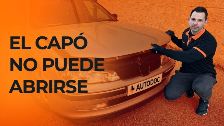 Gu&iacute;a para la Sustituci&oacute;n del Cap&oacute; de Coche